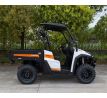 LINHAI UTV 1100 Diesel [KUBOTA]