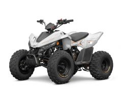 LINHAI ATV 110