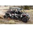 Polaris RZR XP 4 1000